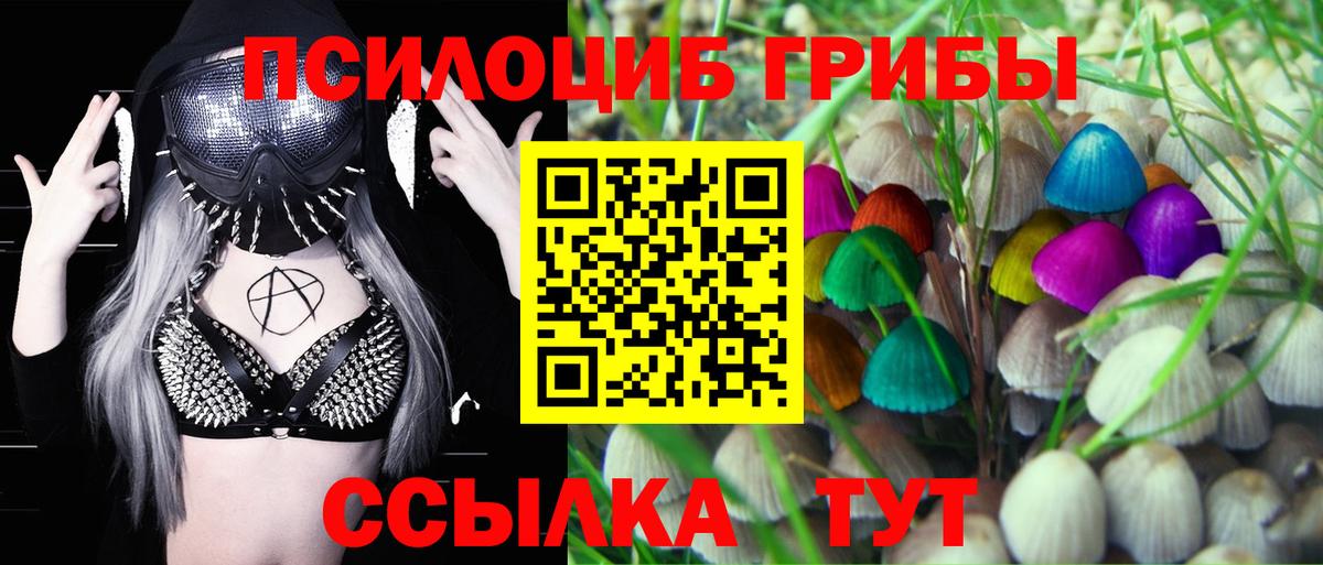 Псилоцибиновые грибы MAGIC MUSHROOMS  Галлюциногенные грибы GOLDEN TEACHER  Губкинский  Вход с VPN 