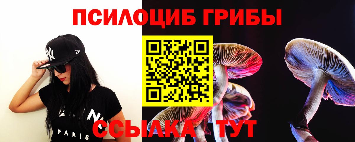 Галлюциногенные грибы прущие грибы Губкинский